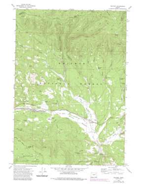 Whitney USGS topographic map 44118f3