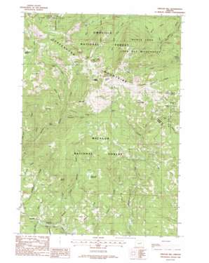 Vinegar Hill USGS topographic map 44118f5
