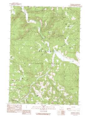 Susanville topo map