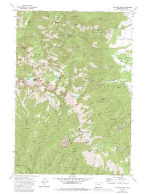 Elkhorn Peak USGS topographic map 44118g1
