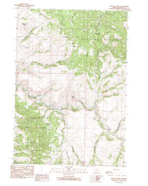 Wildcat Point USGS topographic map 44118g8