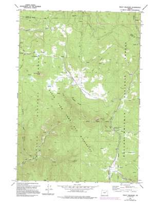 Trout Meadows USGS topographic map 44118h4
