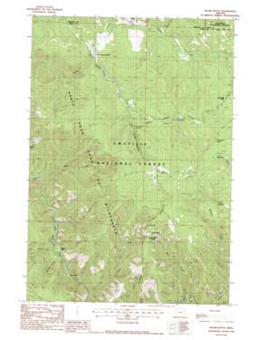 Silver Butte topo map
