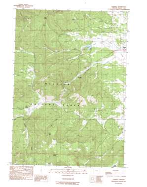 Logdell topo map