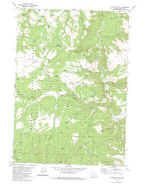 Suplee Butte topo map
