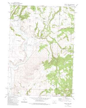 Powell Mountain USGS topographic map 44119b6