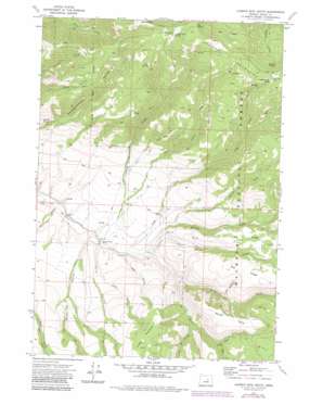 Aldrich Mountain South USGS topographic map 44119c4