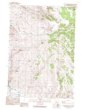Picture Gorge East topo map
