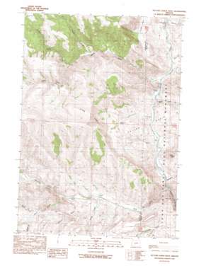 Picture Gorge West USGS topographic map 44119e6