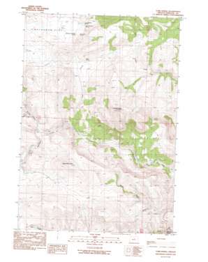 Tubb Spring USGS topographic map 44119e7