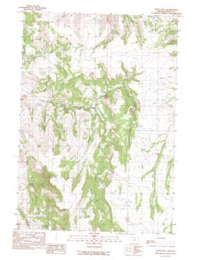 Steet Mountain USGS topographic map 44119g3