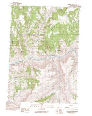 Massacre Mountain USGS topographic map 44119g8