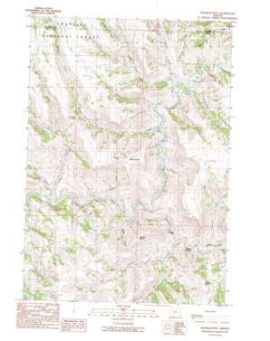 Slickear Mountain USGS topographic map 44119h3