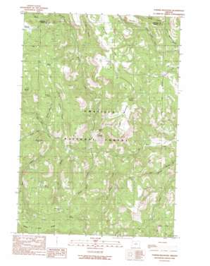 Turner Mountain USGS topographic map 44119h5