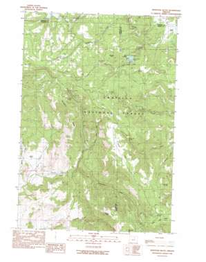 Whitetail Butte topo map