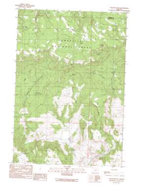 Collins Butte topo map