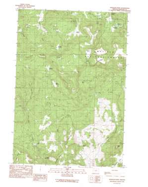 Wheeler Point USGS topographic map 44119h8