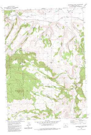 Arrowwood Point USGS topographic map 44120a2