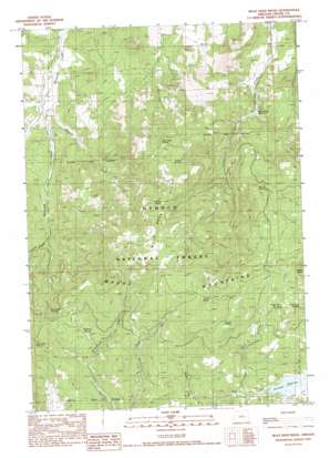 Mule Deer Ridge USGS topographic map 44120a4