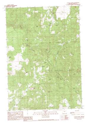 Conant Basin topo map