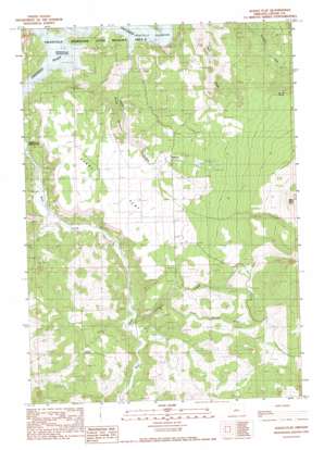 Alkali Flat USGS topographic map 44120a6