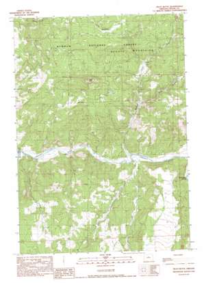 Pilot Butte USGS topographic map 44120b5