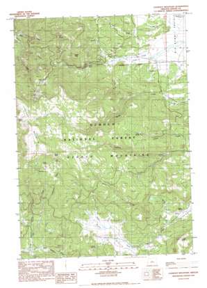 Lookout Mountain USGS topographic map 44120c3