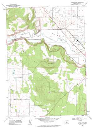 Houston Lake USGS topographic map 44120c8