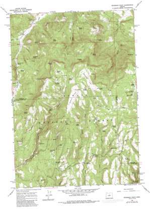 Peterson Point topo map