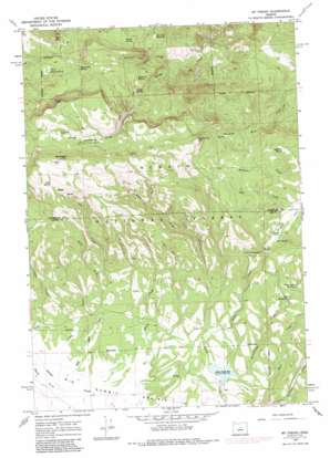 Peterson Point USGS topographic map 44120d2