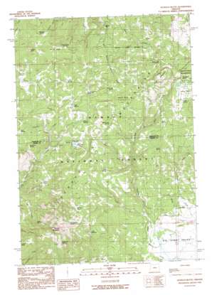 Ochoco Butte USGS topographic map 44120d3