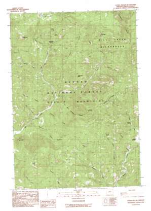 Wildcat Mountain USGS topographic map 44120d5