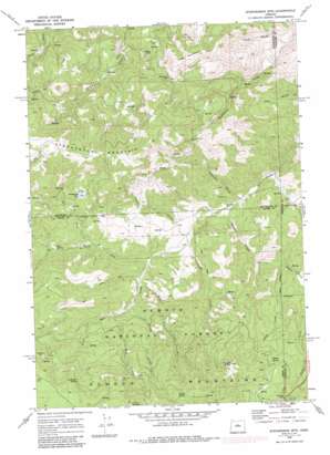 Stephenson Mountain USGS topographic map 44120e4