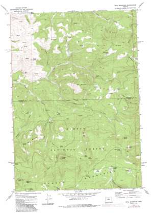 Opal Mountain USGS topographic map 44120e5