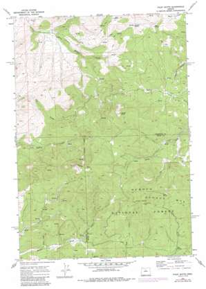 Foley Butte topo map