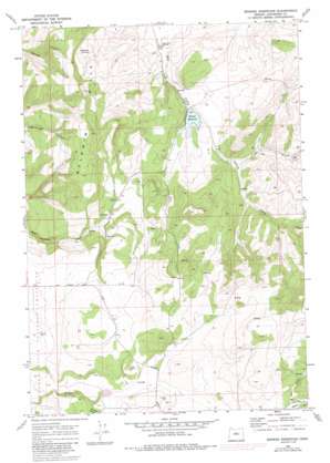 Brewer Reservoir USGS topographic map 44120e8