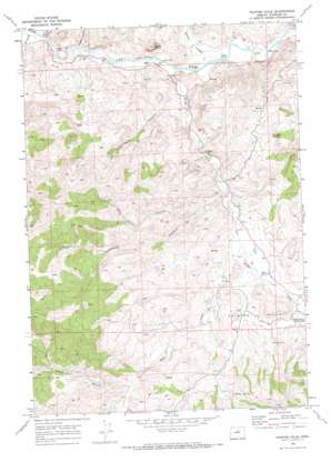 Painted Hills topo map
