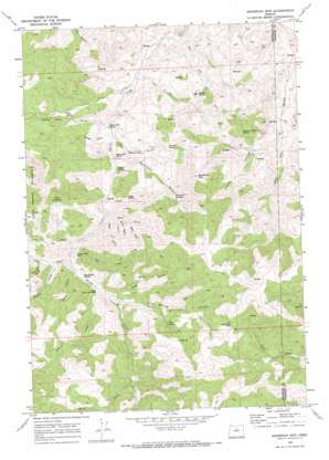 Sandrock Mountain USGS topographic map 44120f4