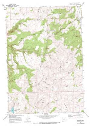 Ashwood USGS topographic map 44120f7