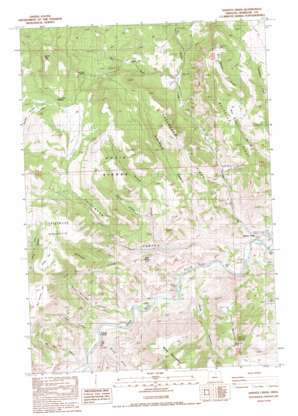 Service Creek USGS topographic map 44120g1