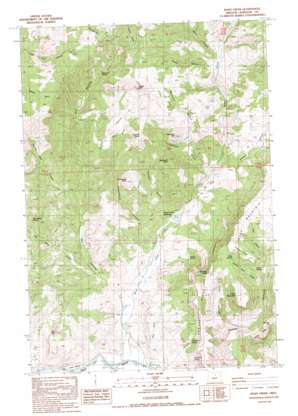 Rowe Creek USGS topographic map 44120g2
