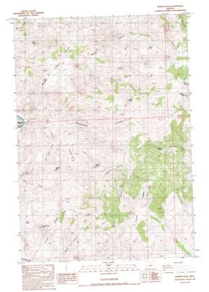 Jennies Peak USGS topographic map 44120g3