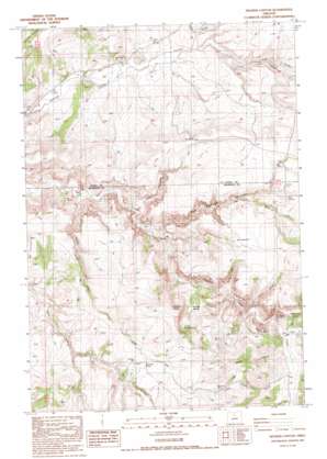 Degner Canyon USGS topographic map 44120g7