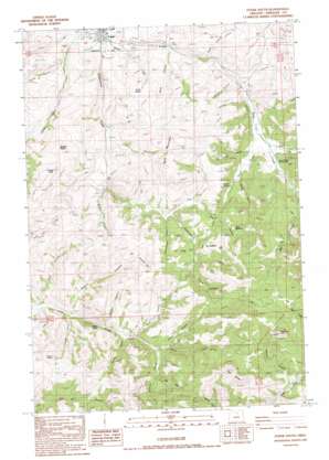 Fossil South topo map