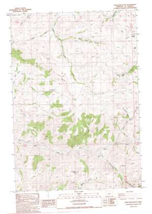 Porcupine Butte USGS topographic map 44120h3