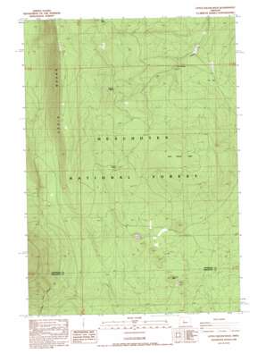Little Squaw Back topo map