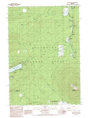 Black Butte USGS topographic map 44121d6