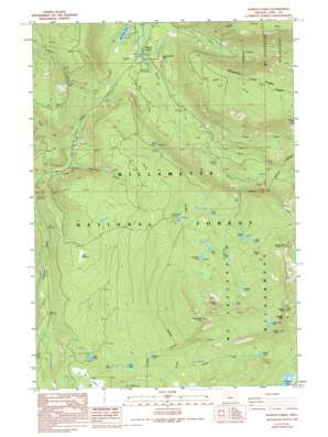 Marion Forks USGS topographic map 44121e8