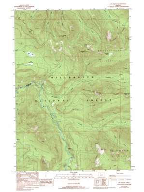 Mount Bruno USGS topographic map 44121f8
