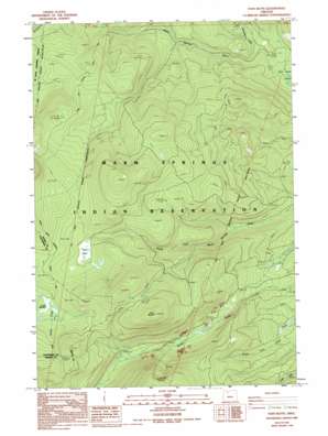 Fort Butte topo map